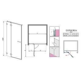 Душевая дверь Radaway Euphoria DWJ 80 L